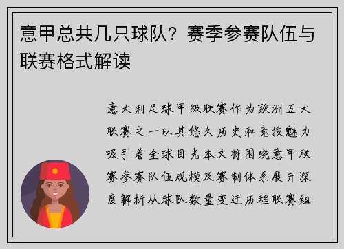 意甲总共几只球队？赛季参赛队伍与联赛格式解读